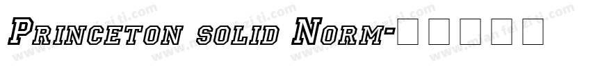 Princeton solid Norm字体转换